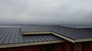 Fast & Reliable Emergency Roof Repairs in Sharon, WI